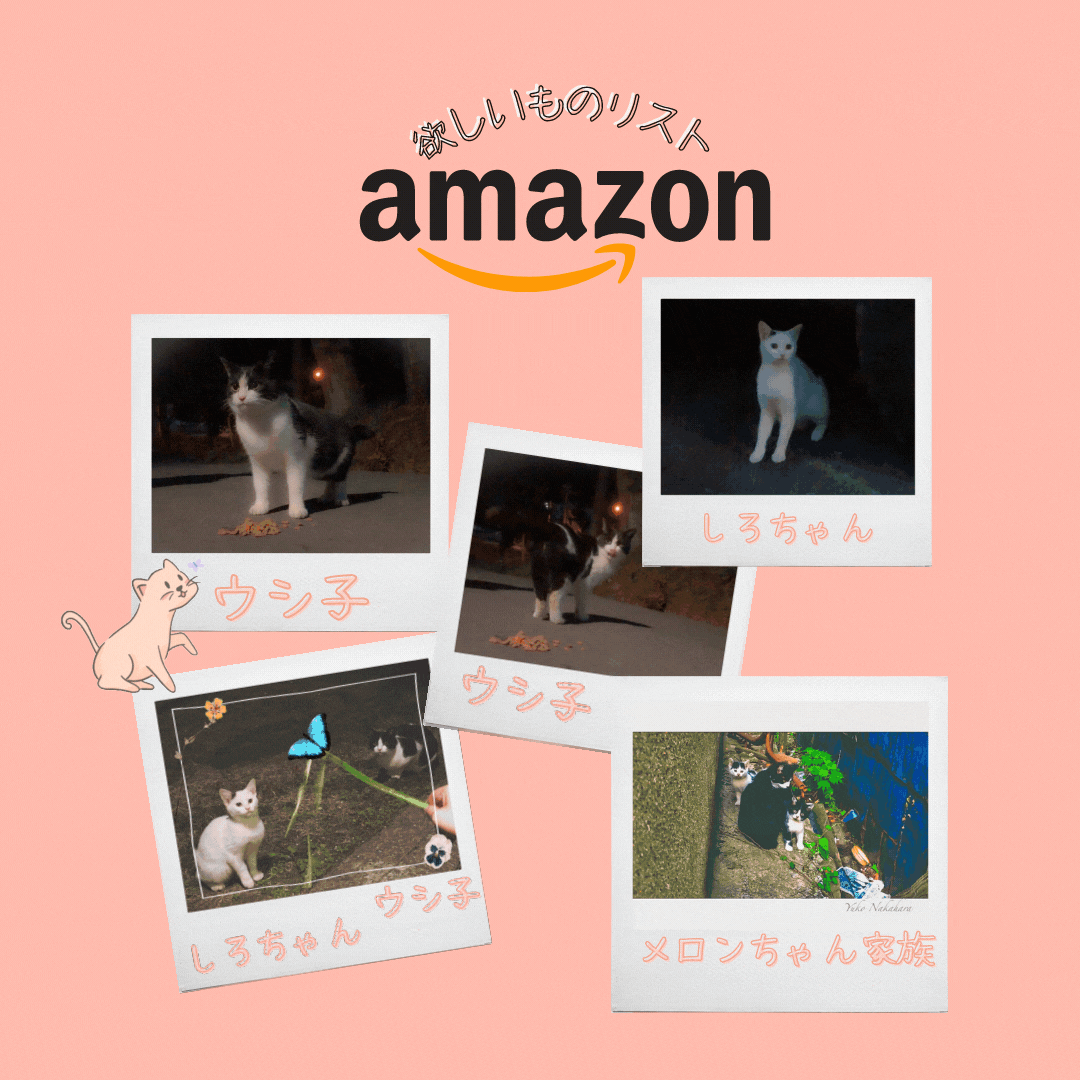 北海道小樽市に住む可愛い地域猫ちゃんが一匹でも多くお腹を満たせるようご協力頂けますと有り難いです🌼