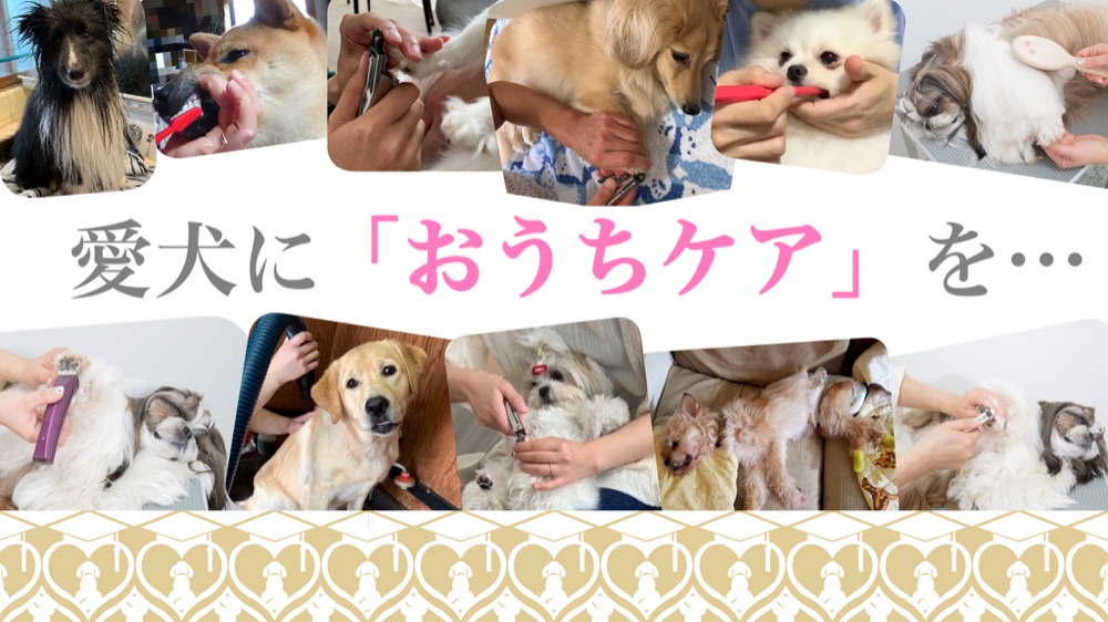 まずはこちらをタップして動画をご覧ください