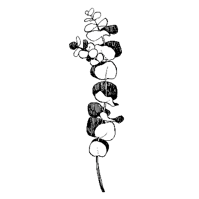 死に戻り花嫁