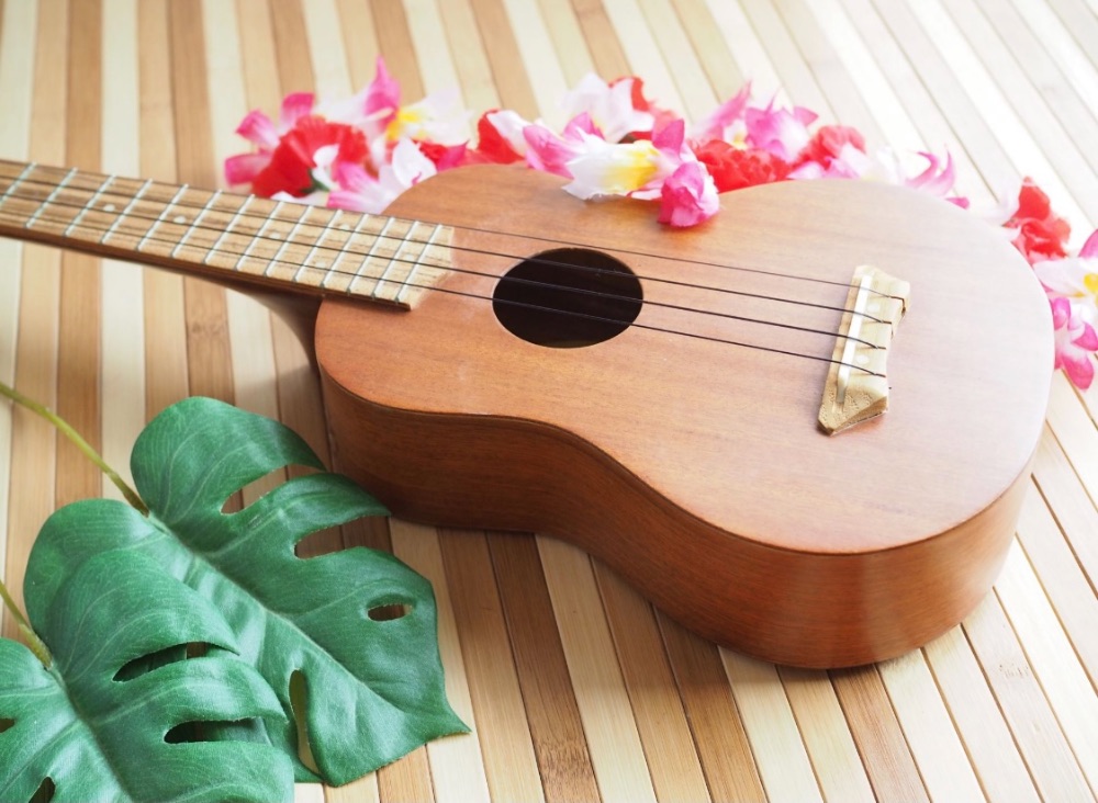 音楽未経験者大歓迎！お子さんと歌って踊れるふれあいタイムを作りたい方、お待ちしてます♪