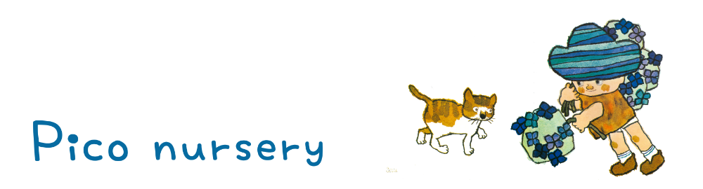 Pico nursery lit.link(リットリンク)