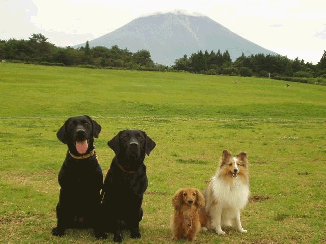 ホームページはコチラ