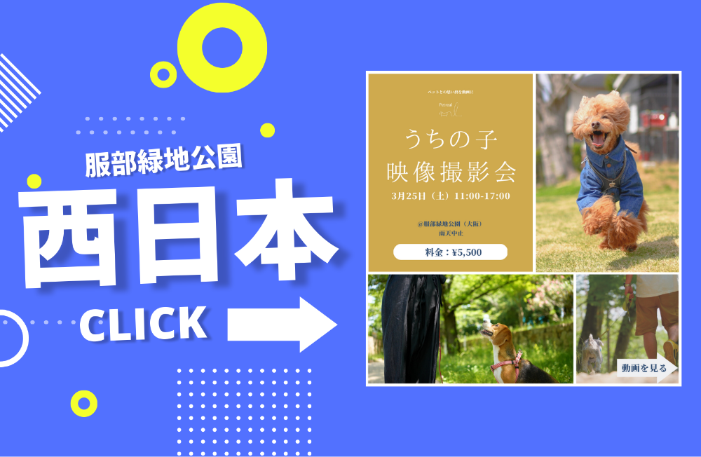 大阪府　服部緑地にて