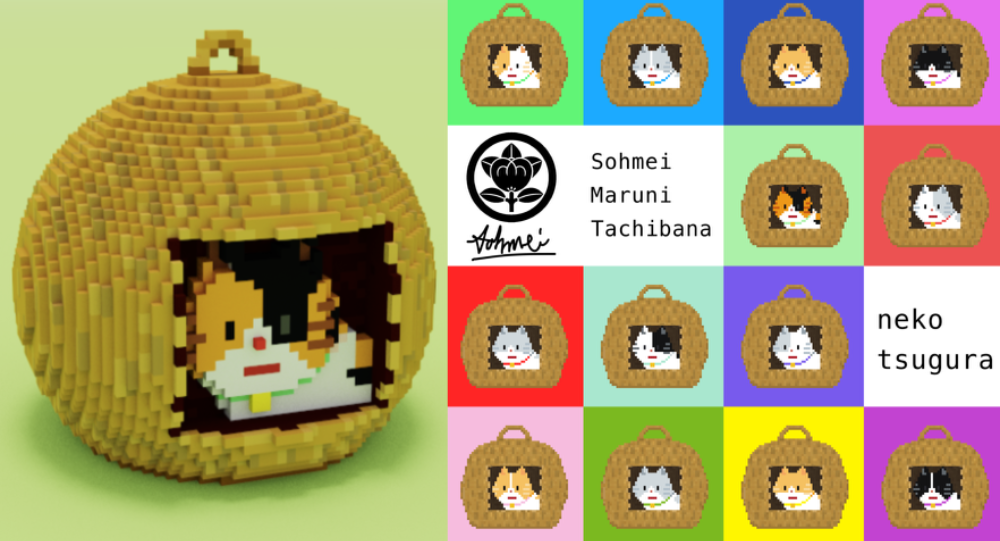 voxel 3D / 3D Avatar