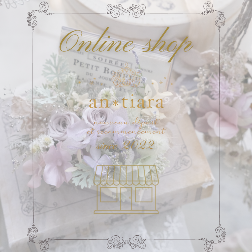 an*tiara様　確認用です。 𝑎𝑛✱𝑡𝑖𝑎𝑟𝑎 lit.link(リットリンク)