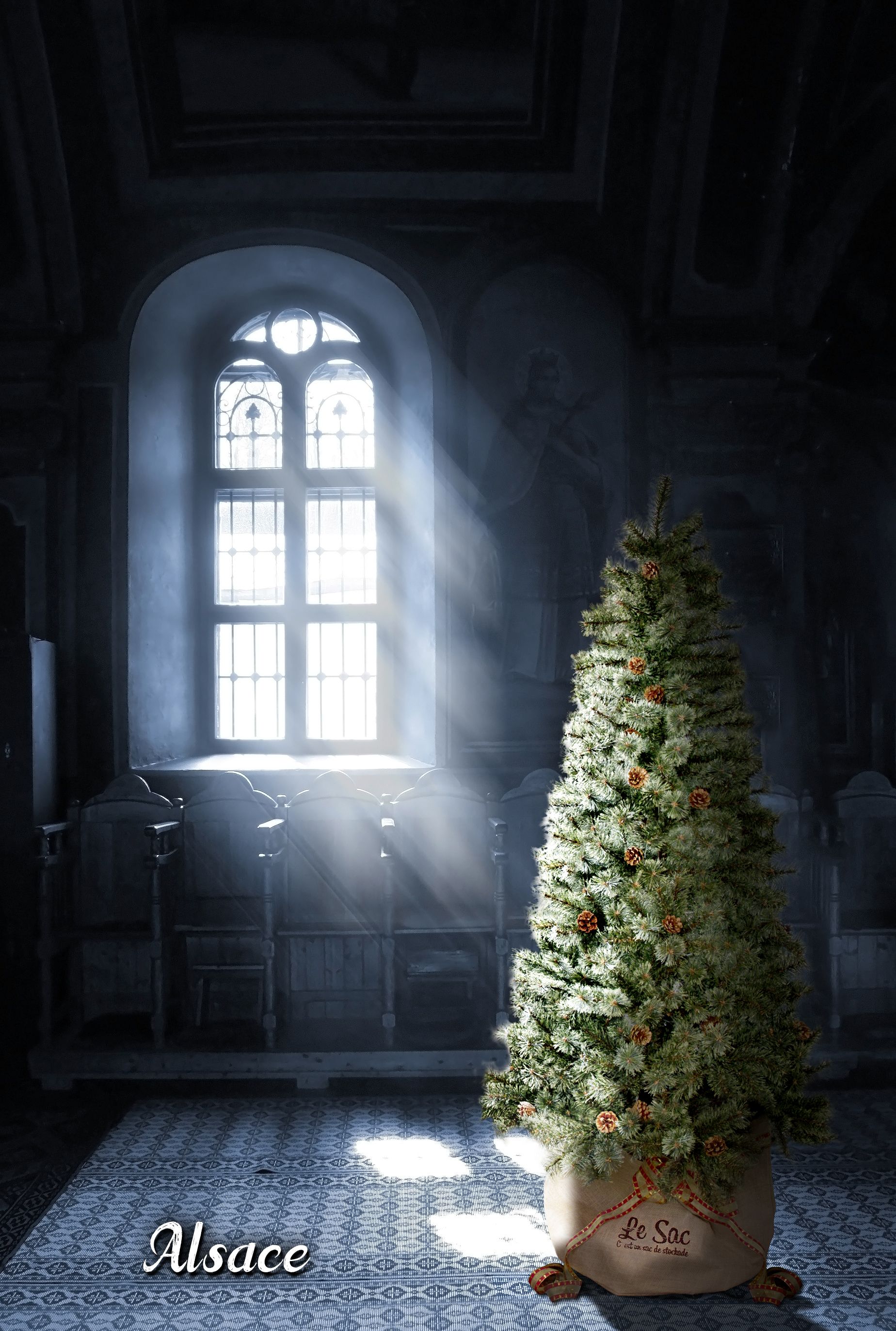 Alsace_tree_official lit.link(リットリンク)