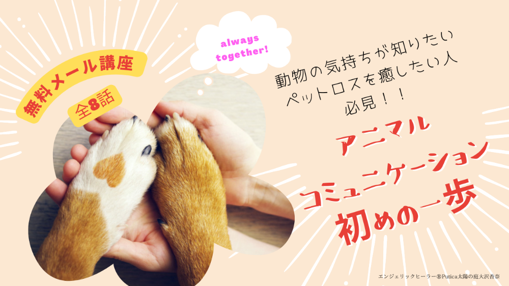 アニマルコミュニケーション
