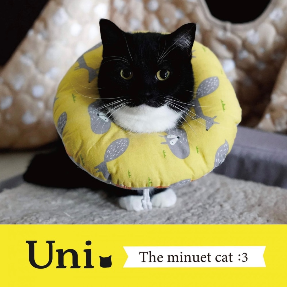 unico_uniuni lit.link(リットリンク)