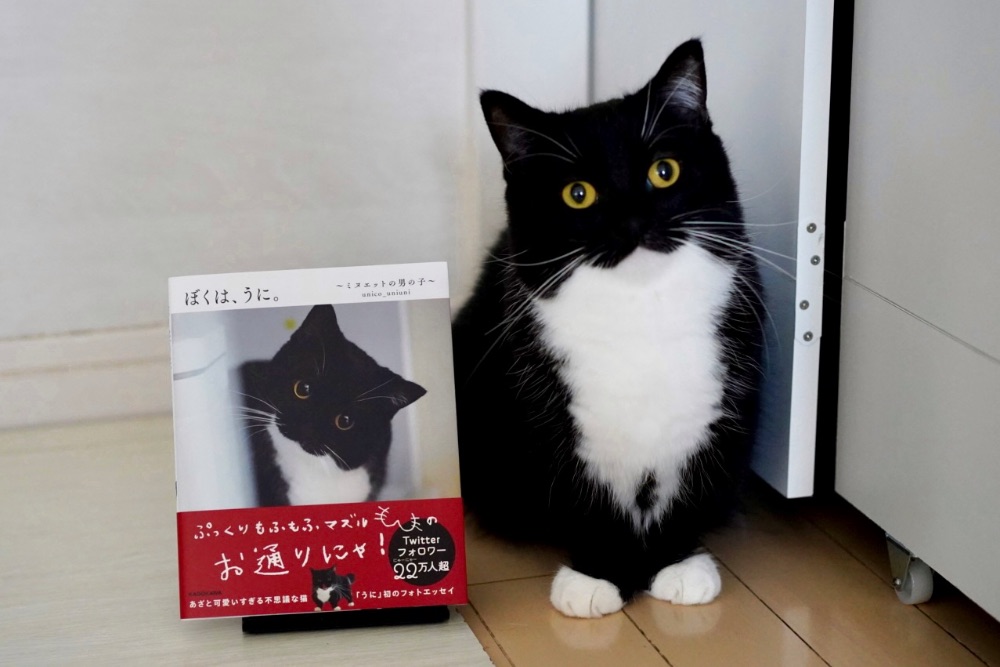 unico_uniuni lit.link(リットリンク)