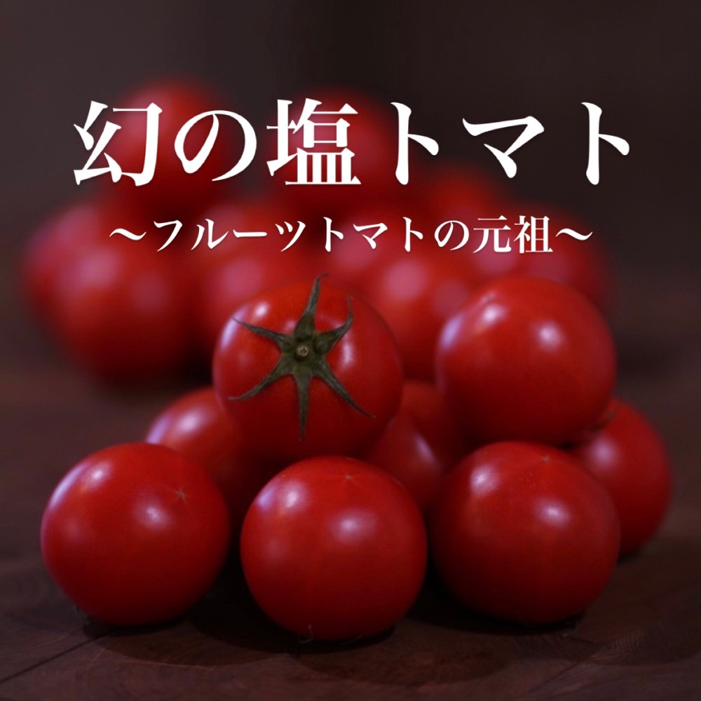 『幻の塩トマト』販売中