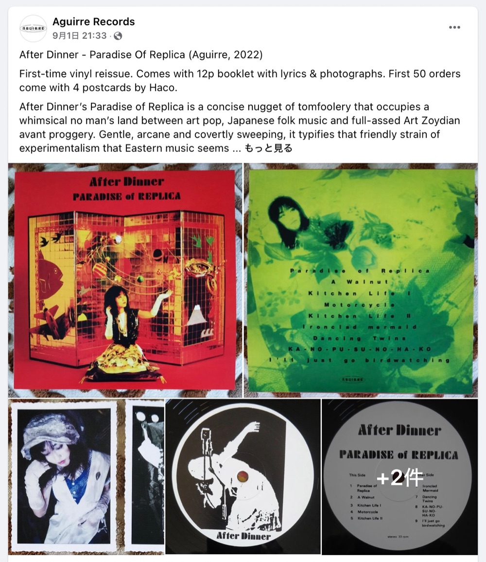 VINYL REISSUE: "After Dinner - Paradise of Replica" OUT NOW!