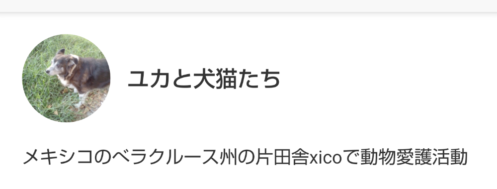 応援宜しくお願い致します🙏
