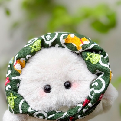 Cootan（くぅたん） lit.link(リットリンク)