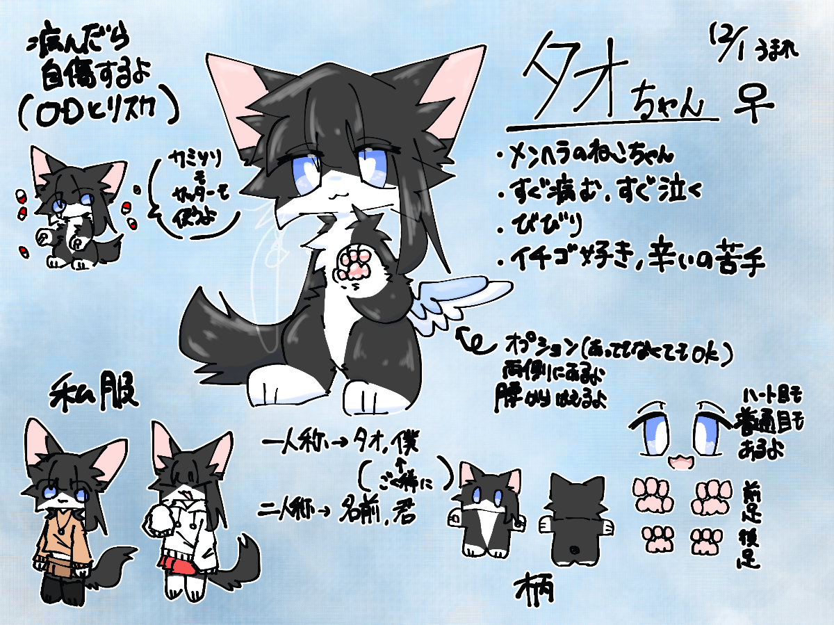 くろねこ様❤️オーダー❤️お腹ぽっこり♡エキゾチック子猫ちゃん♡アートドール♡ くろねこ✨ lit.link(リットリンク)