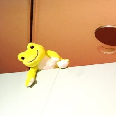 紫乃宮 琴音 lit.link