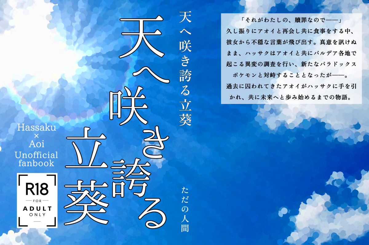 ターマックワークス T64-058-89NZR16 1/64 フォード シエラ RS