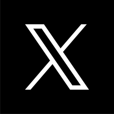 公式X