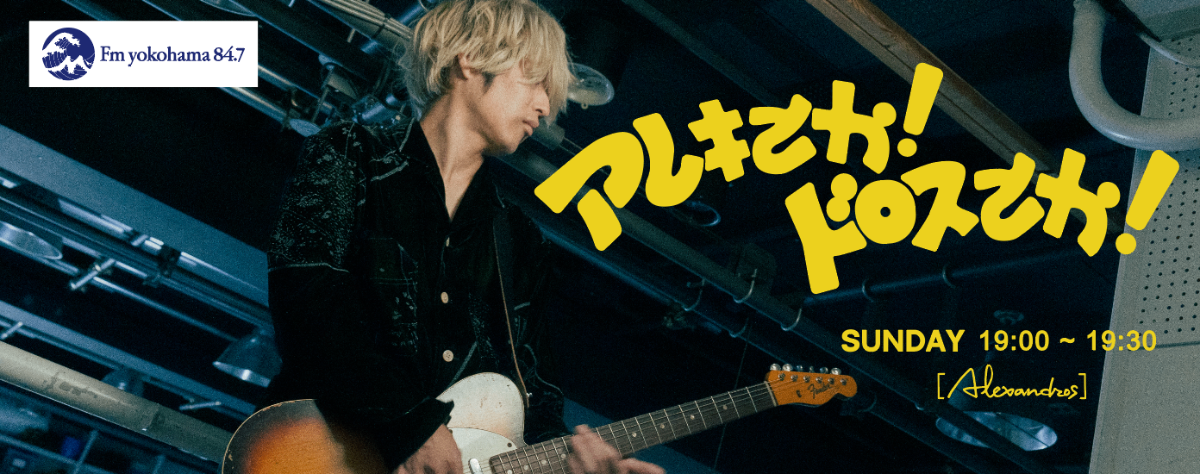 [Alexandros] WE'RE THE LIGHT フーディー M Alexandros] WE'RE THE LIGHT フーディー M Alexandros] WE ARE