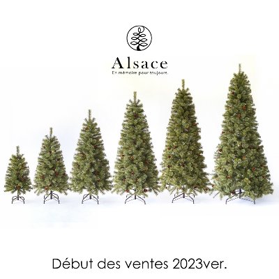 Alsace_tree_official lit.link(リットリンク)