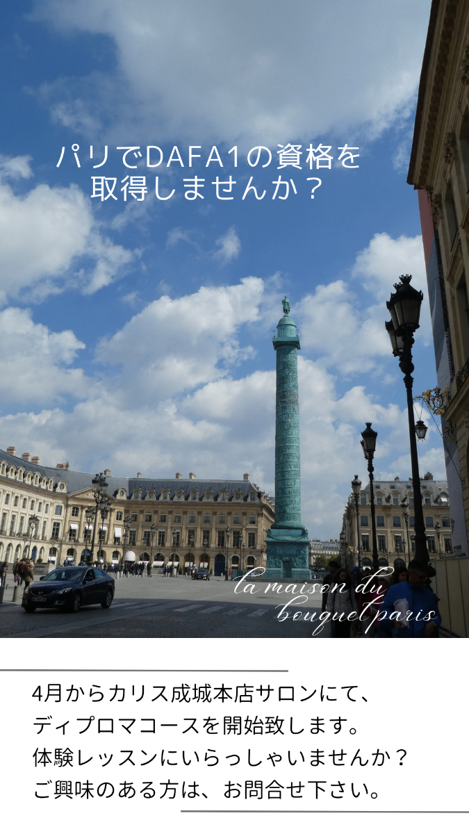 パリスタイルフラワー成城・二子玉川 lit.link(リットリンク) パリスタイルフラワー成城・二子玉川 lit.link(リットリンク)