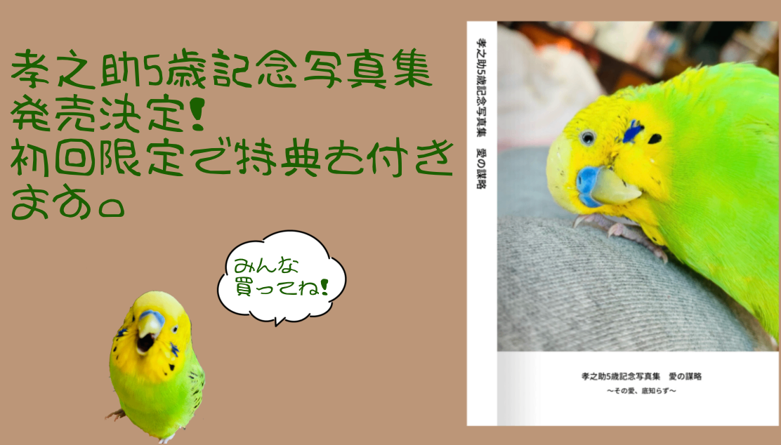 🦜孝之助専属マネージャー🍏 lit.link(リットリンク)