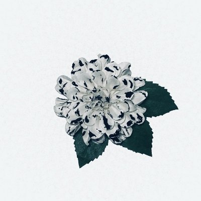 1st Mini Album「白夜」 lit.link(リットリンク)