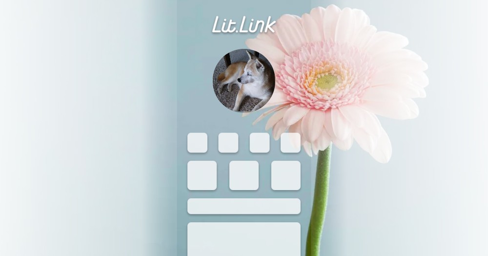 【真作】F6 白川杏子【柔らかい光に包まれて】gallery購入品 共シール有 真作】F6 絵画 【真作】F6 白川杏子【愛の芍薬】 gallery購入品 共