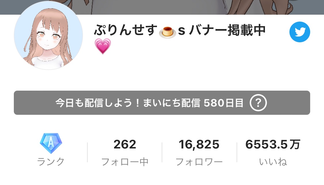 ぷりんせす🍮🪄/ Princess Alamode lit.link