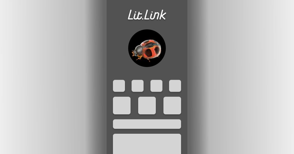 緻密ちみ lit.link(リットリンク)