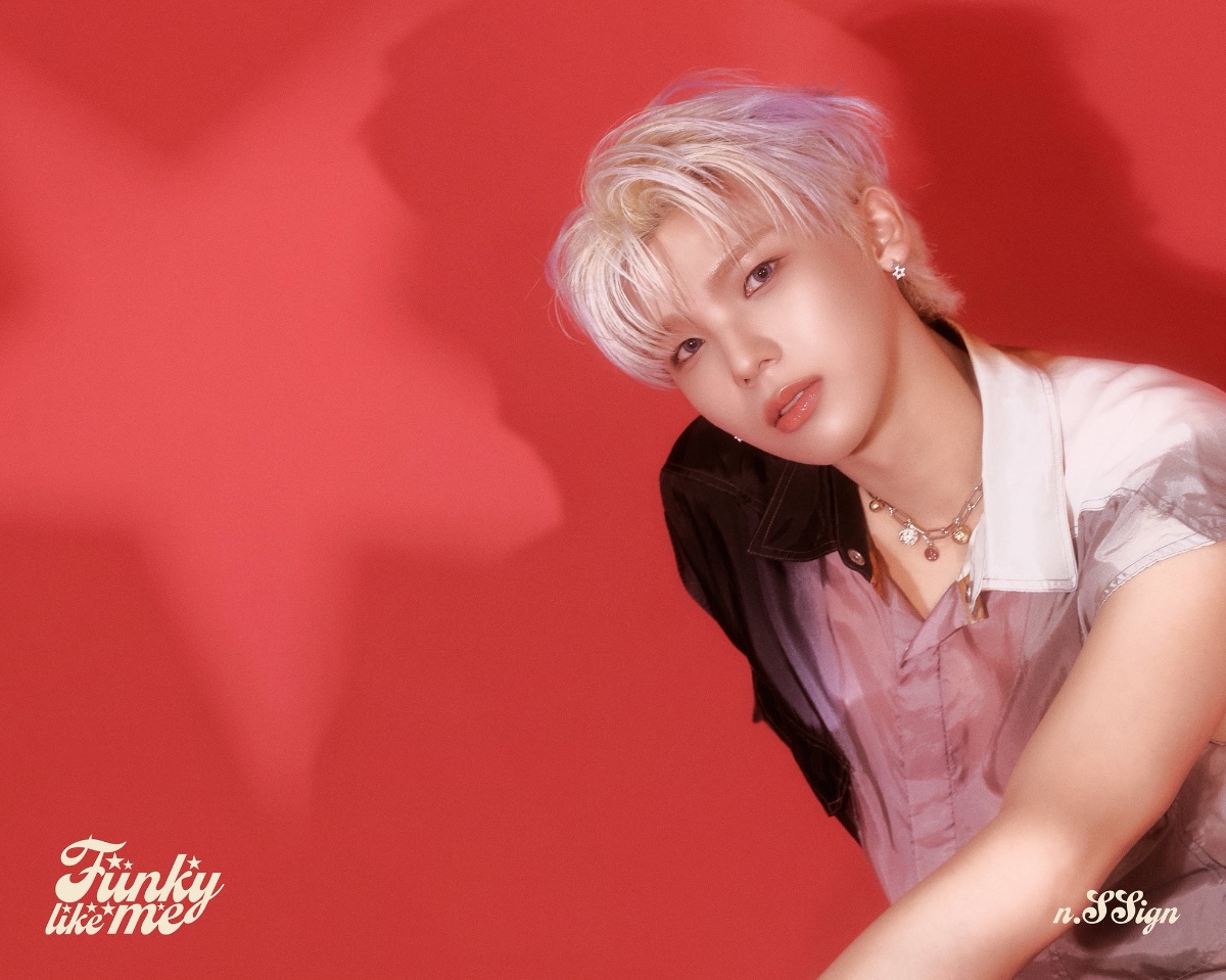 n.SSign lit.link(リットリンク)