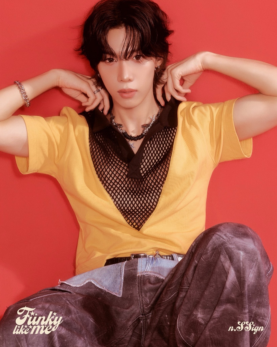 n.SSign lit.link(リットリンク)