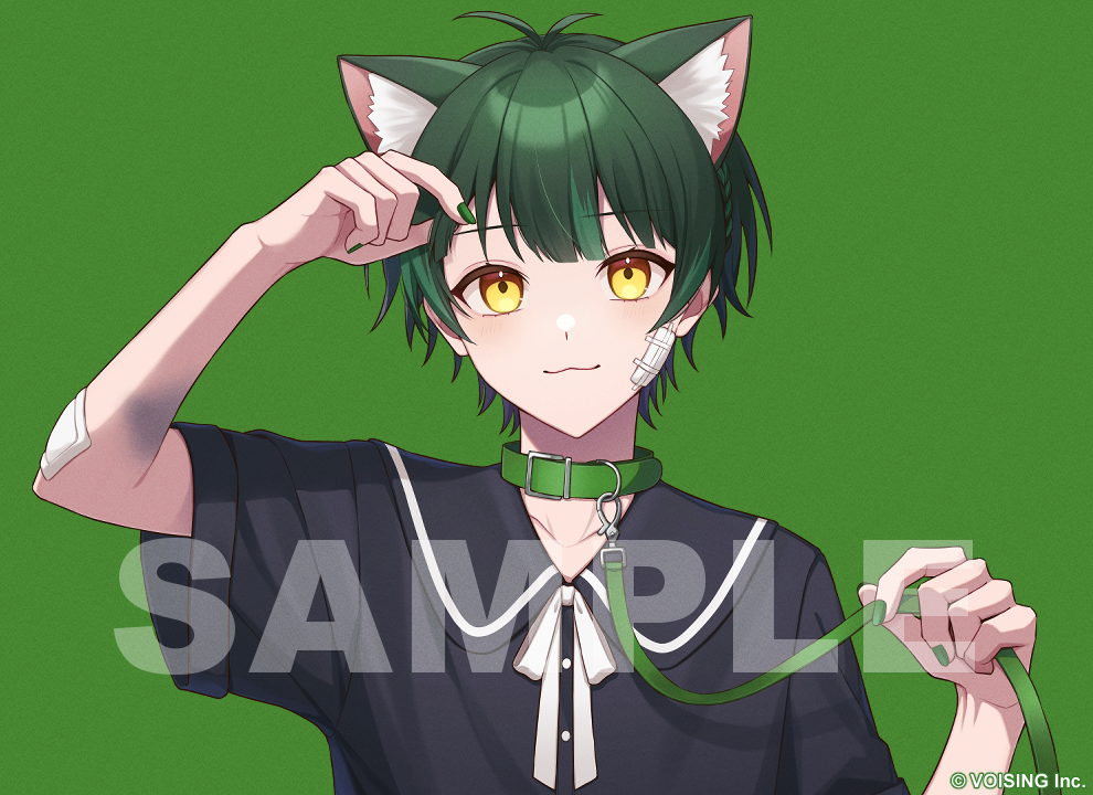 ねこてん ねこてん (@nekoten_Zzz) / X