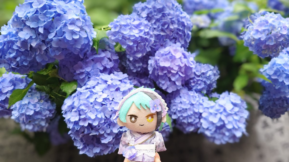 addict -楪(yuzuriha)- lit.link(リットリンク)