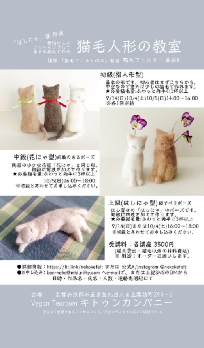 || 猫ぬいオーダーページ　▷ 猫ぬいぐるみ「ねこにゃ」オーダーメイド | 【 Ficorintan