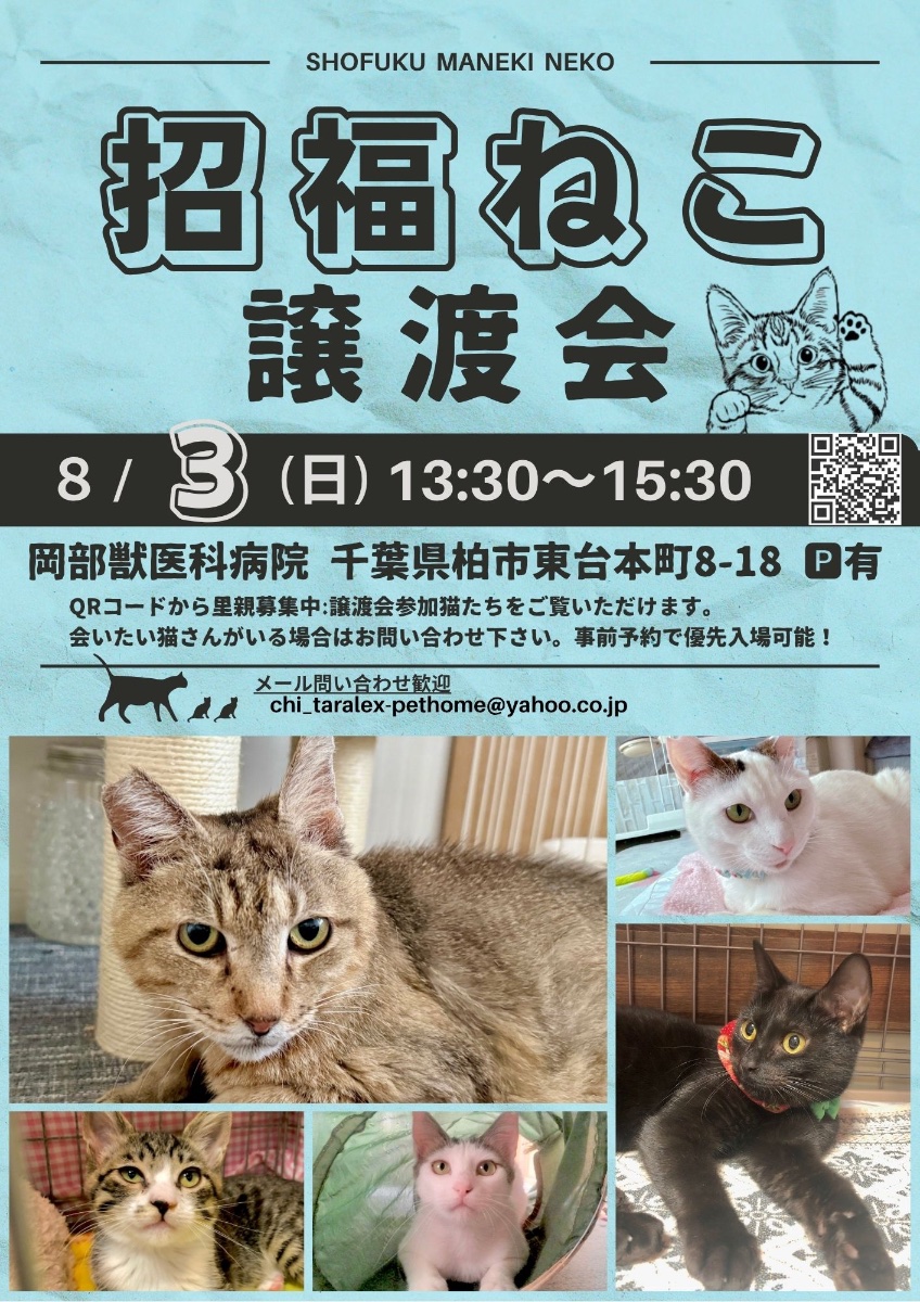 ラリックの猫 猫のクリスタル 里親募集 謹璽 🌸おりか＿保護猫活動中 on X: 