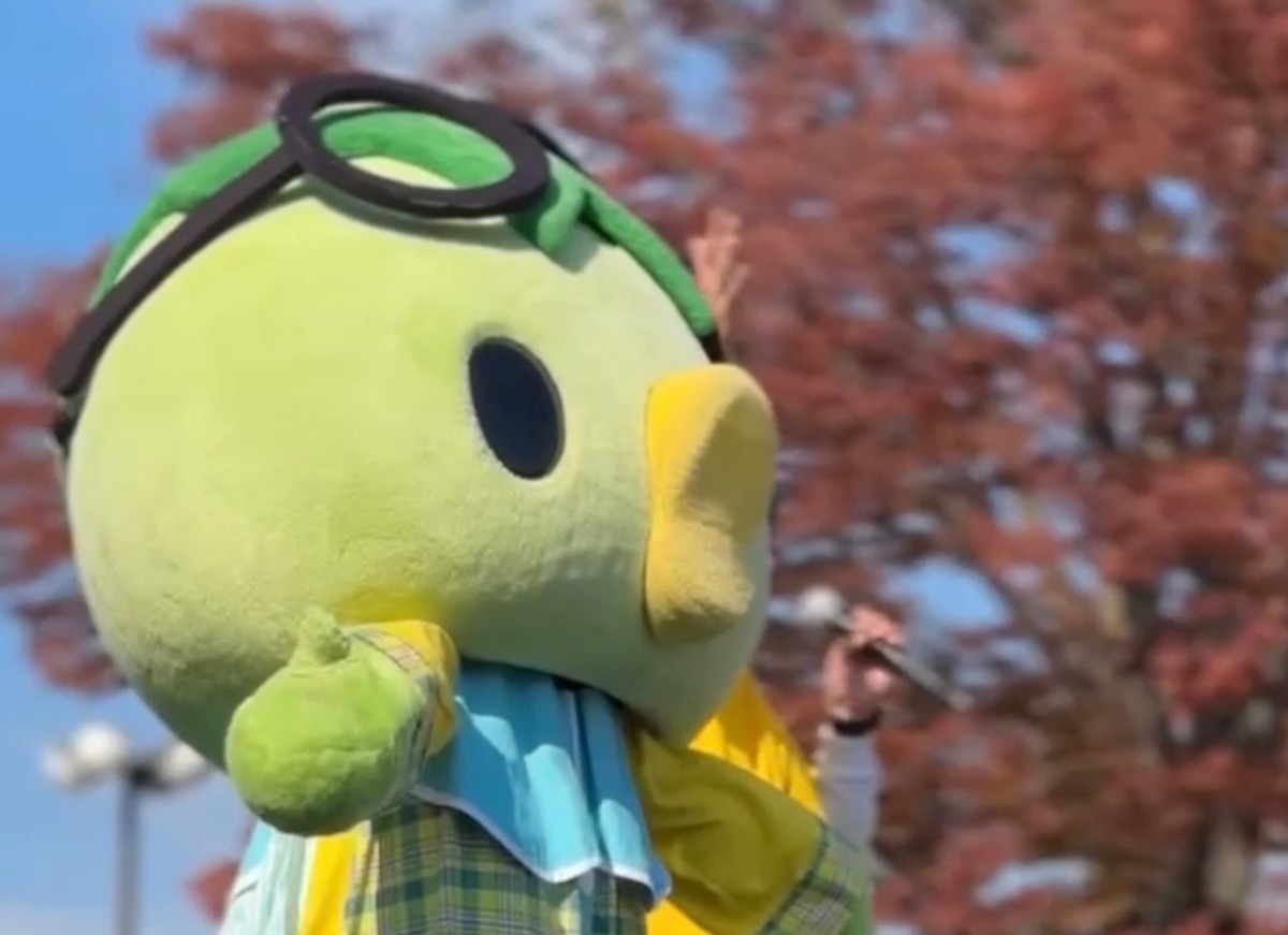 わんぱくラッコ げんきなコタロウ じゅっけんカッパのコタロウ lit.link(リットリンク)
