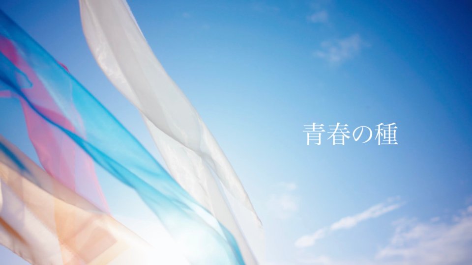 TSUIMA inc. lit.link