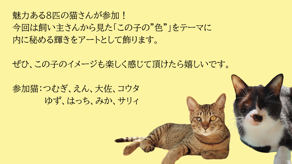 オンリーにゃんず公式サイト lit.link(リットリンク)