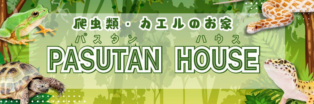 爬虫類&カエルのお家 PASUTAN HOUSE （兵庫県神戸市） lit.link