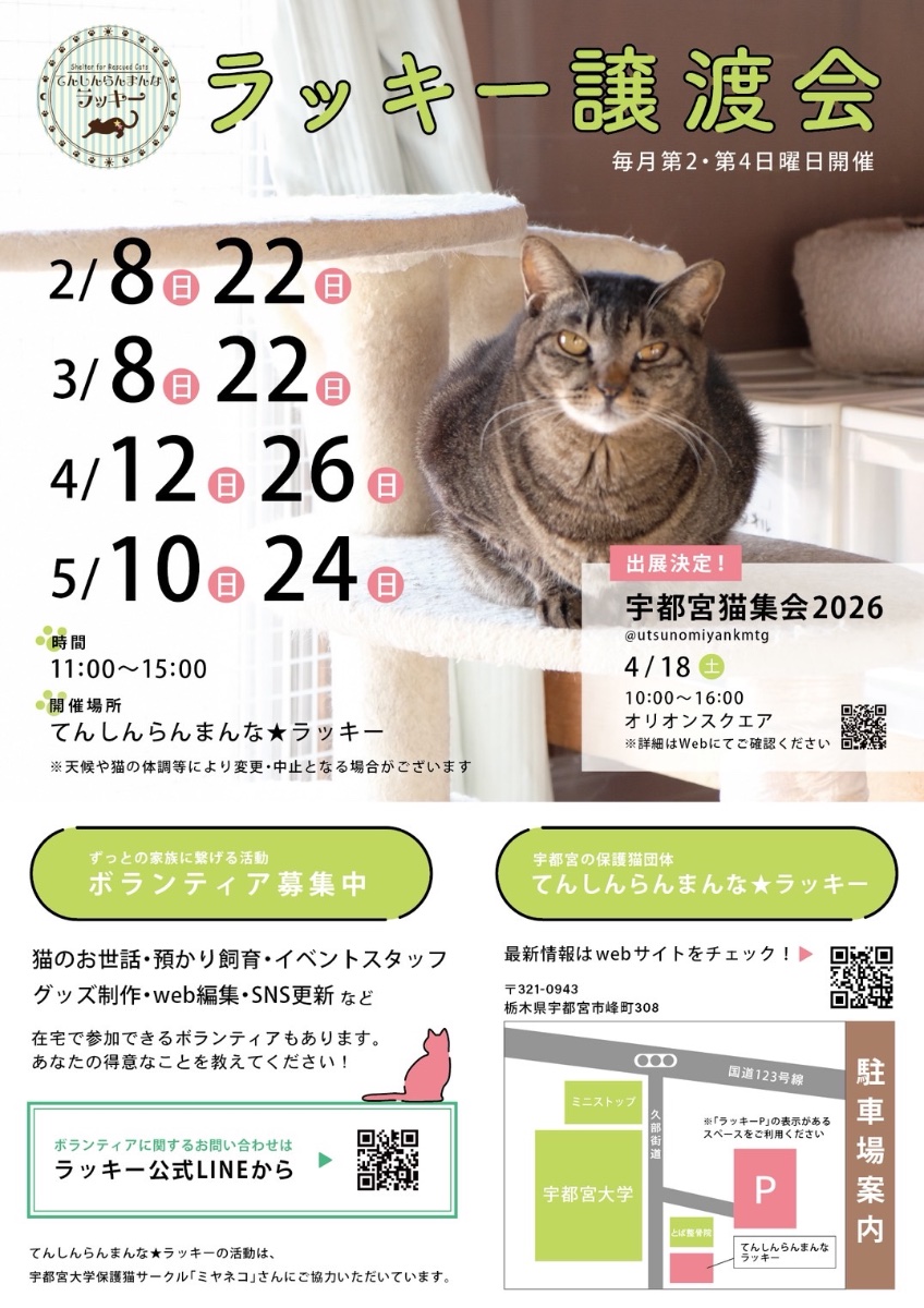 てんしんらんまんな☆ラッキー lit.link(リットリンク)