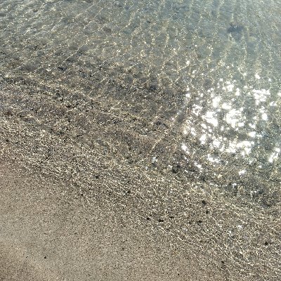 8年目のニワカ lit.link(リットリンク)
