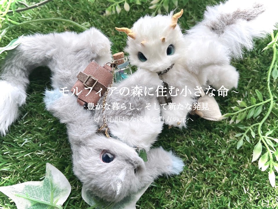 noaの小さな妖精 lit.link(リットリンク)