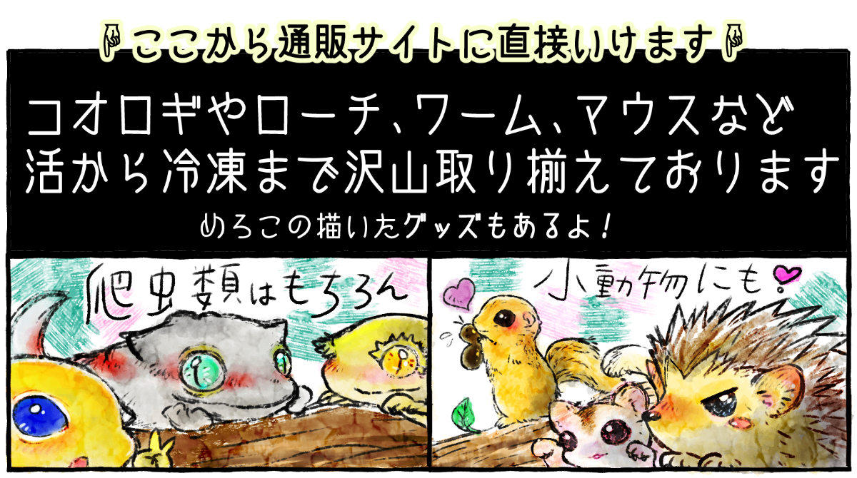 小動物、爬虫類 お店について - えいちれぷたいるず